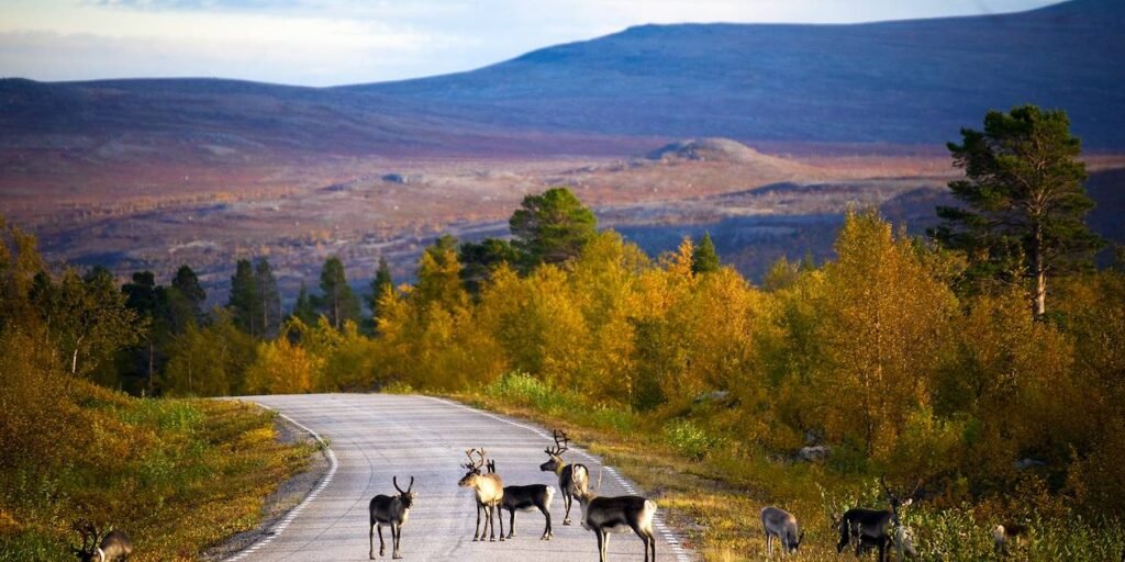 vandliferoadtrip finland